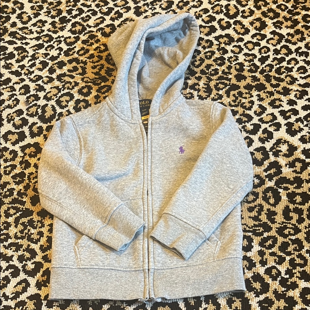 Polo by Ralph Lauren Gray Kids Hoodie with Purple Logo, 3T
